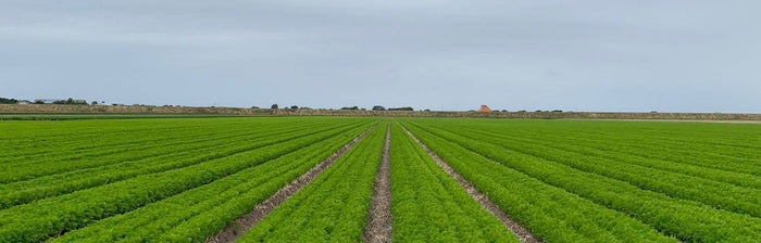 Land en Tuinbouw